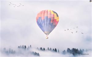 Hot Air Balloons